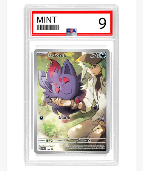 PSA 9 N's Zorua 189 - Scarlet & Violet Promo - Slab - ENG
